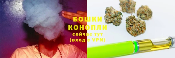 прущая мука Бородино