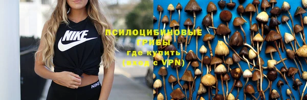 прущая мука Бородино