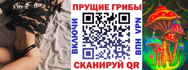 Купить  Новозыбков  Галлюциногенные грибы Psilocybe 